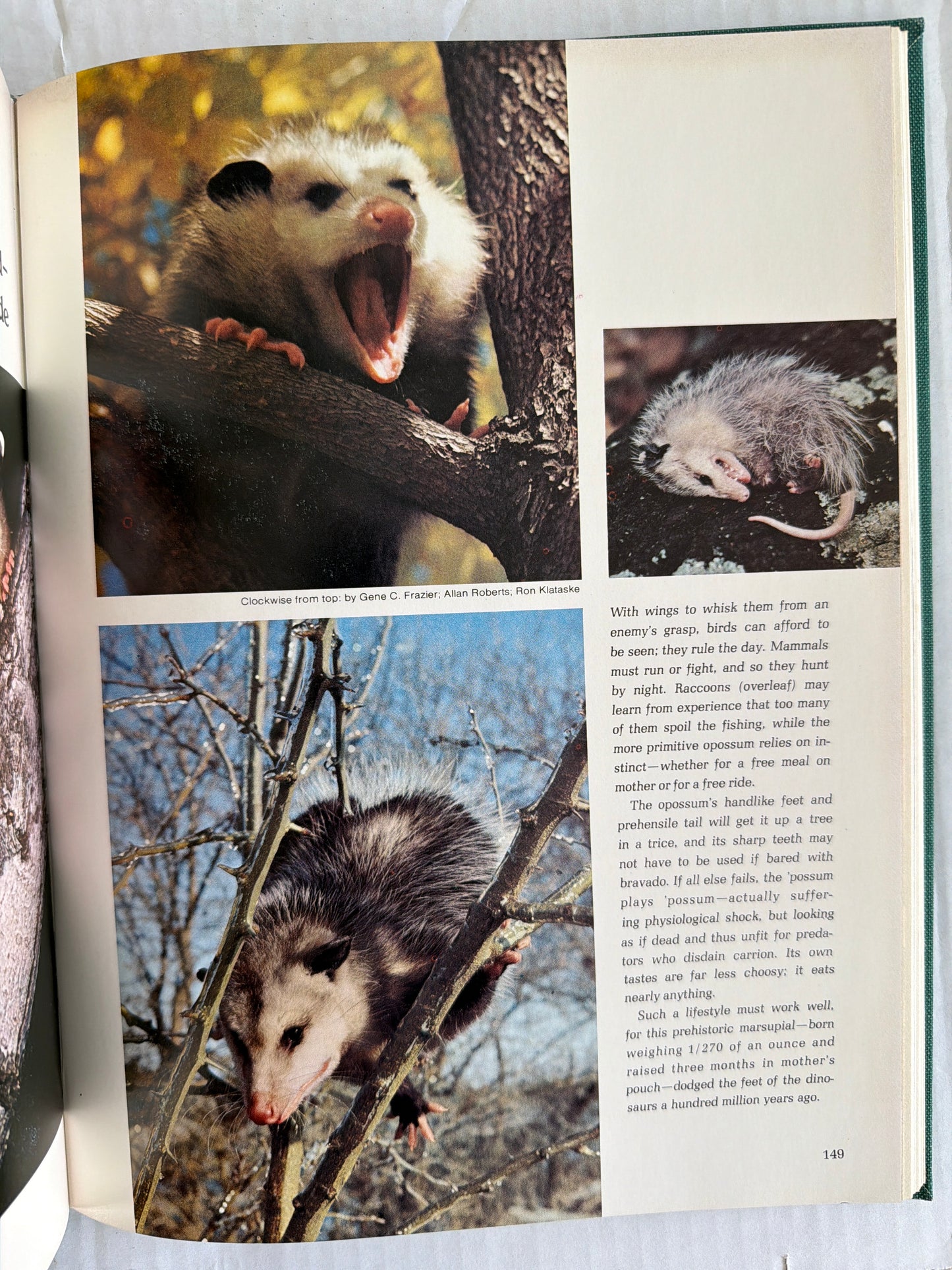 Gardening With Wildlife