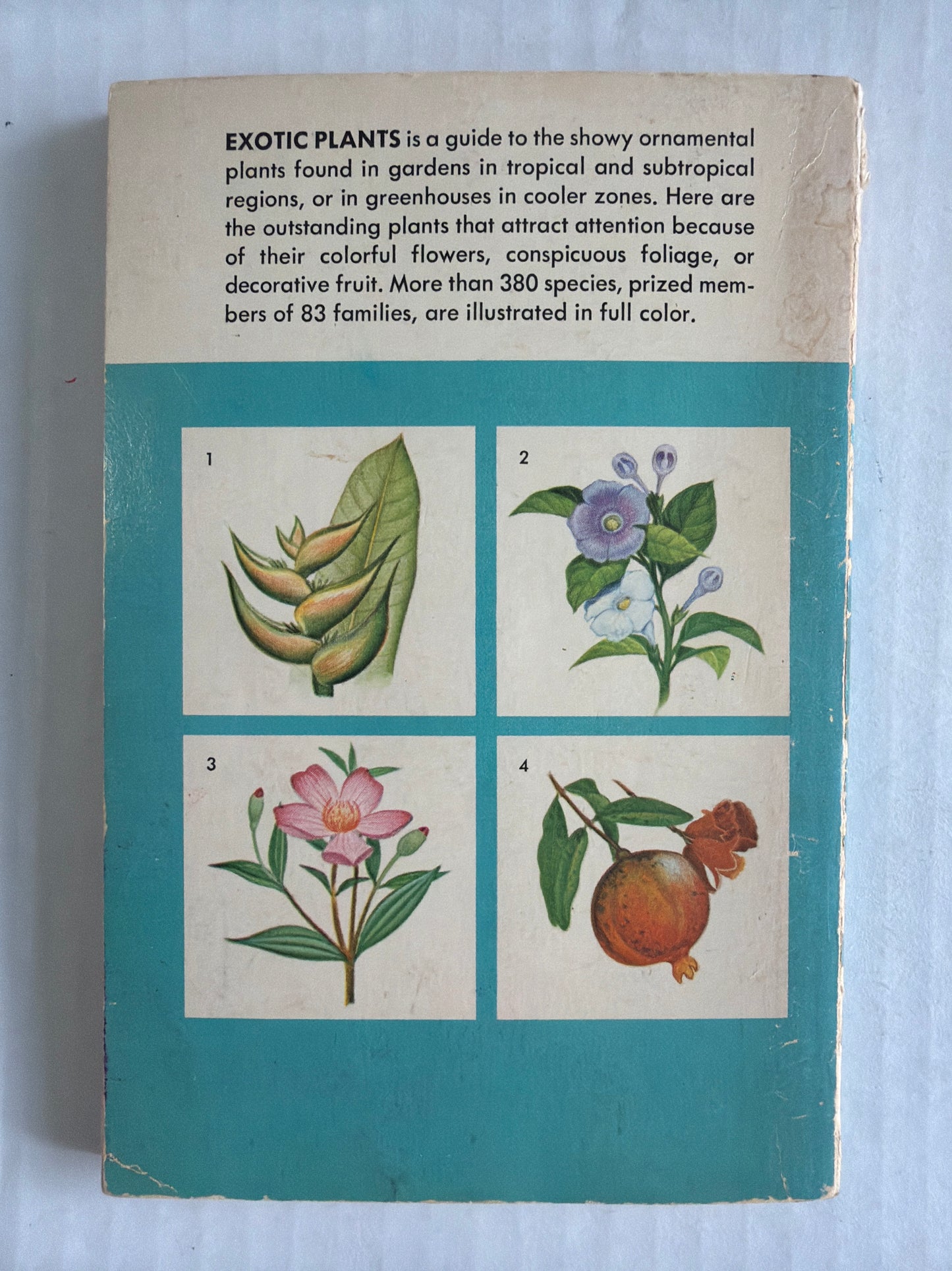 Exotic Plants Guide
