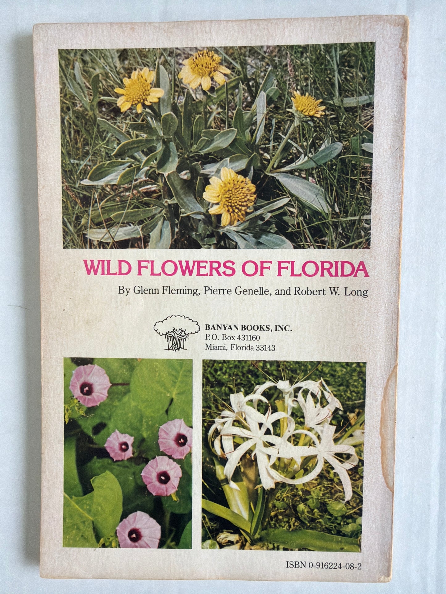 Wildflowers of Florida