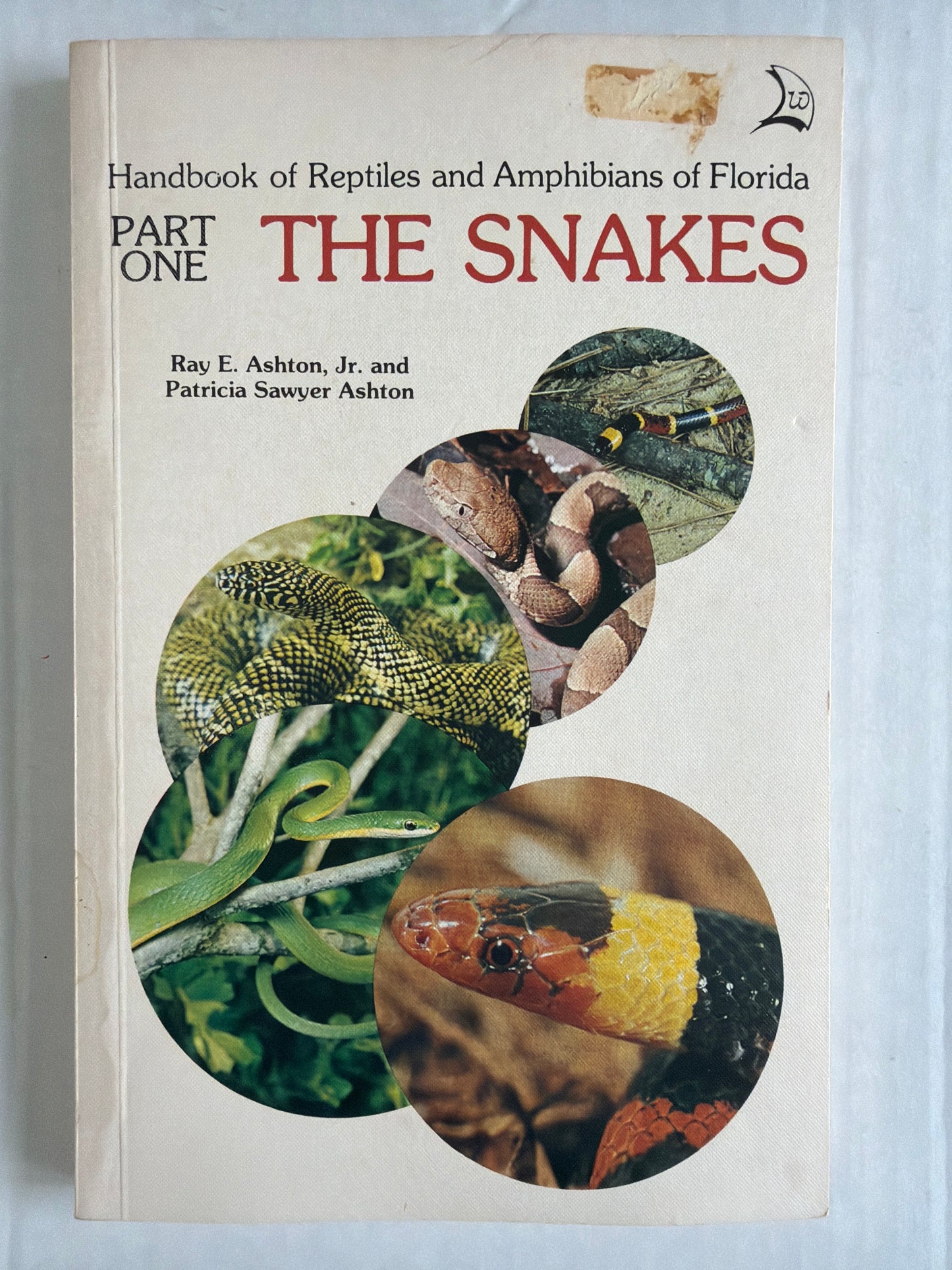 Lizards, Turtles & Crocodiles - Part One