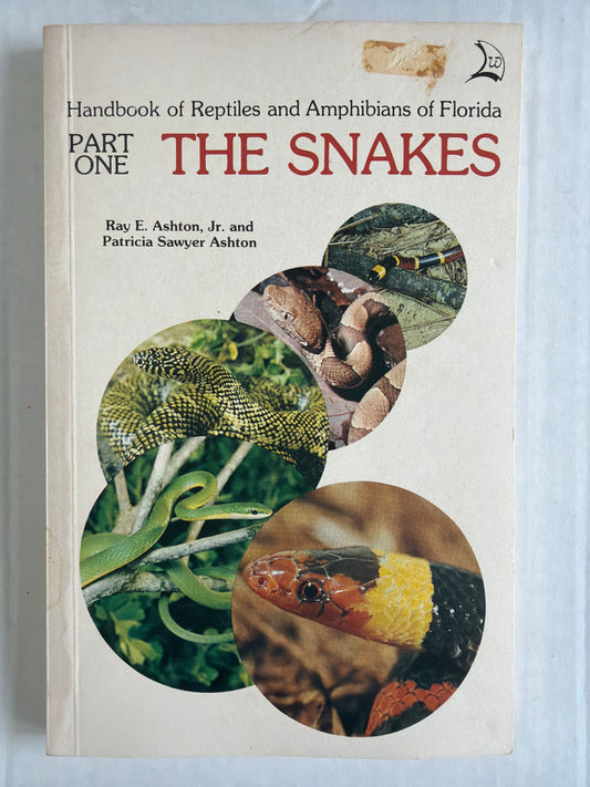 Lizards, Turtles & Crocodiles - Part One