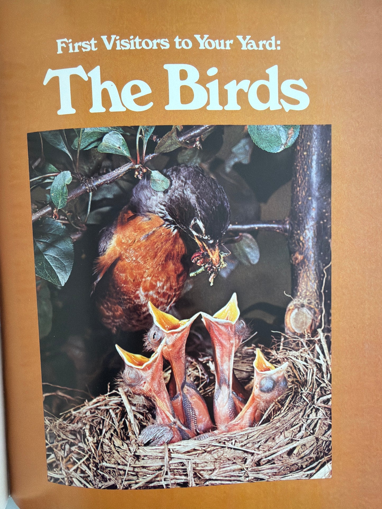 Gardening With Wildlife