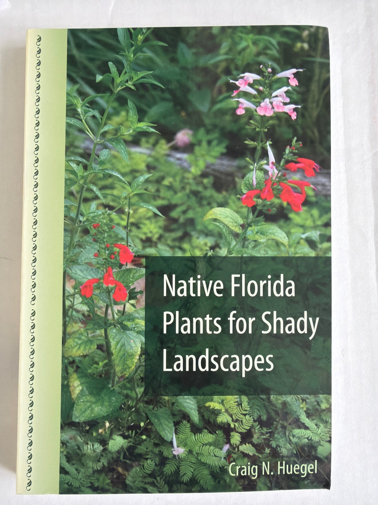 Native Florida Plants for Shady Landscapes by Craig N. Huegal