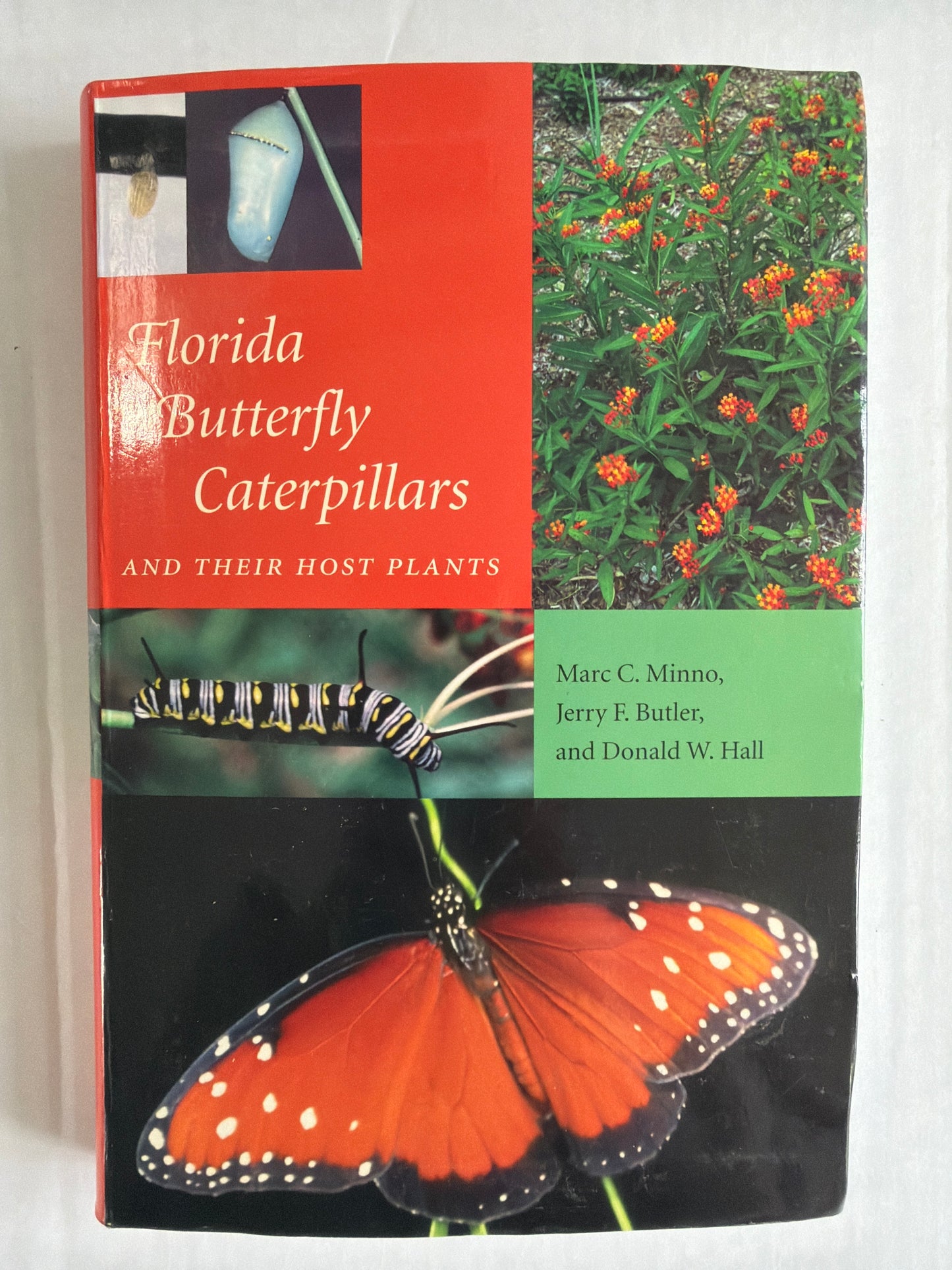Florida Butterfly Caterpillars And Their Hostplants