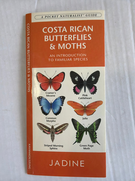 Costa Rican Butterflies & Moths