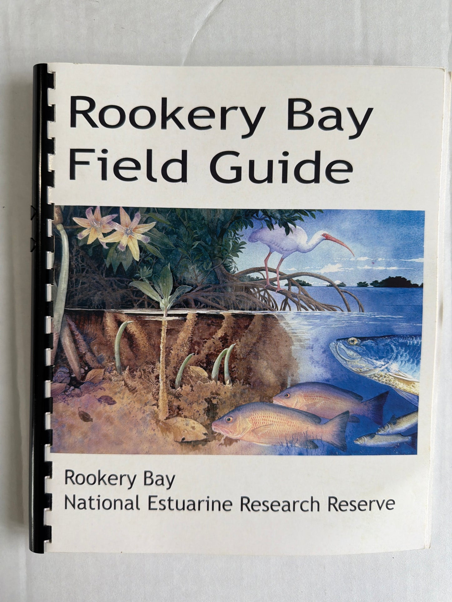 Rookery Bay Field Guide