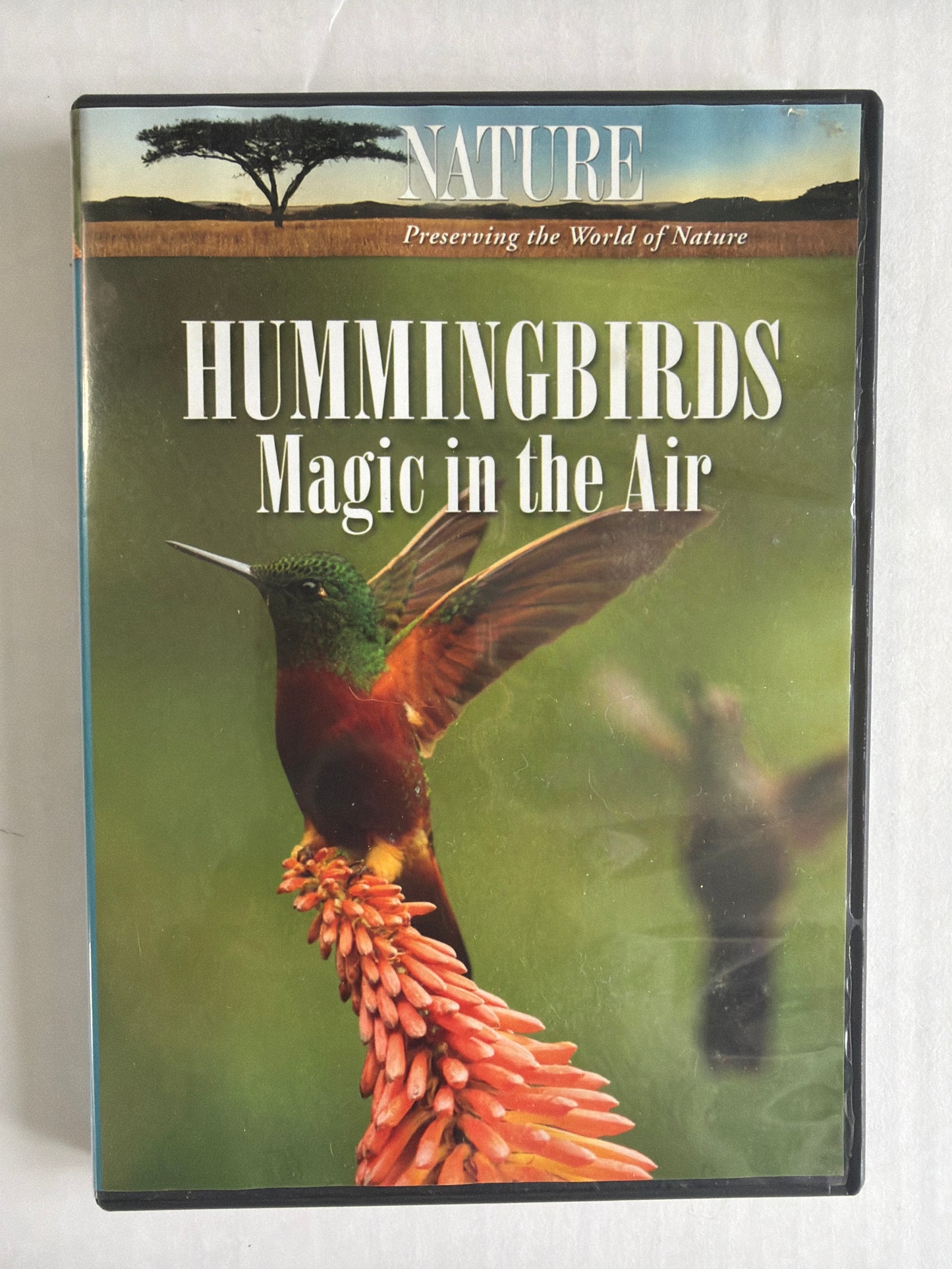 Hummingbirds Magic in the Air DVD