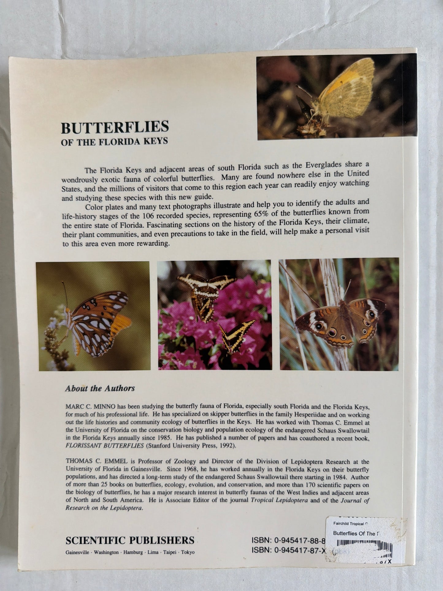 Butterflies of the Florida Keys