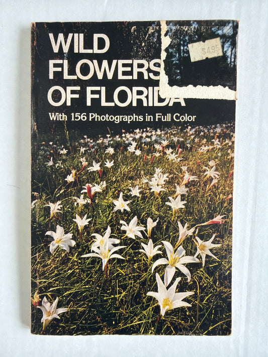 Wildflowers of Florida