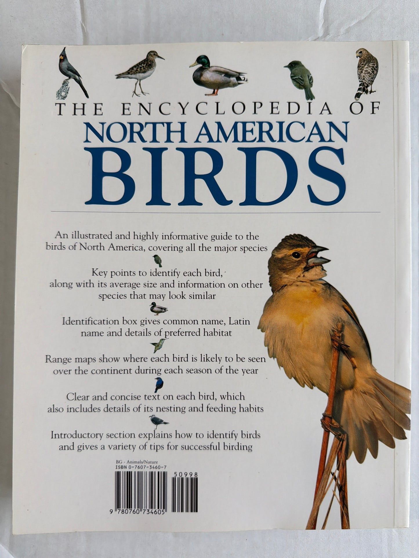 The Encyclopedia of North American Birds