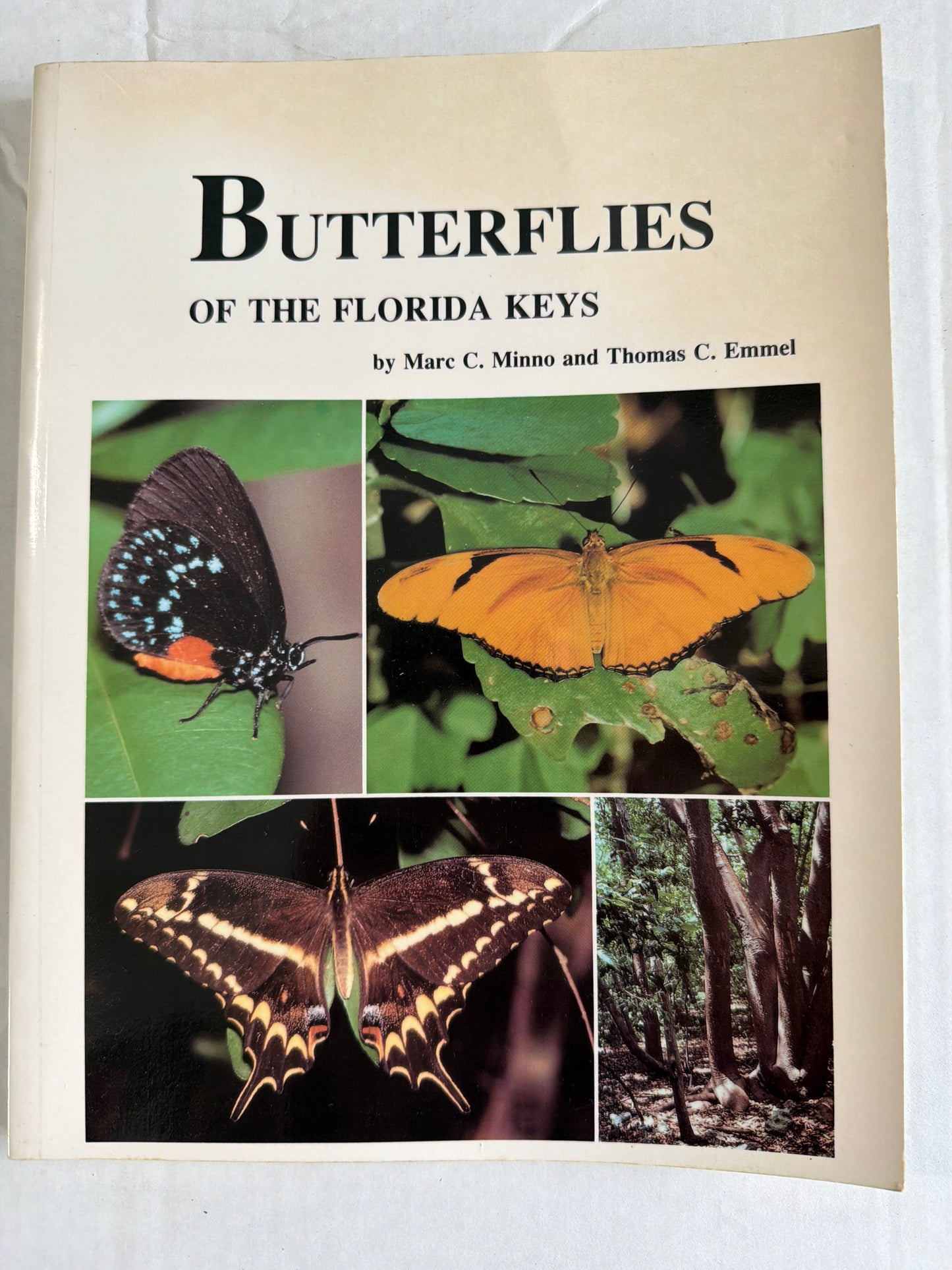 Butterflies of the Florida Keys