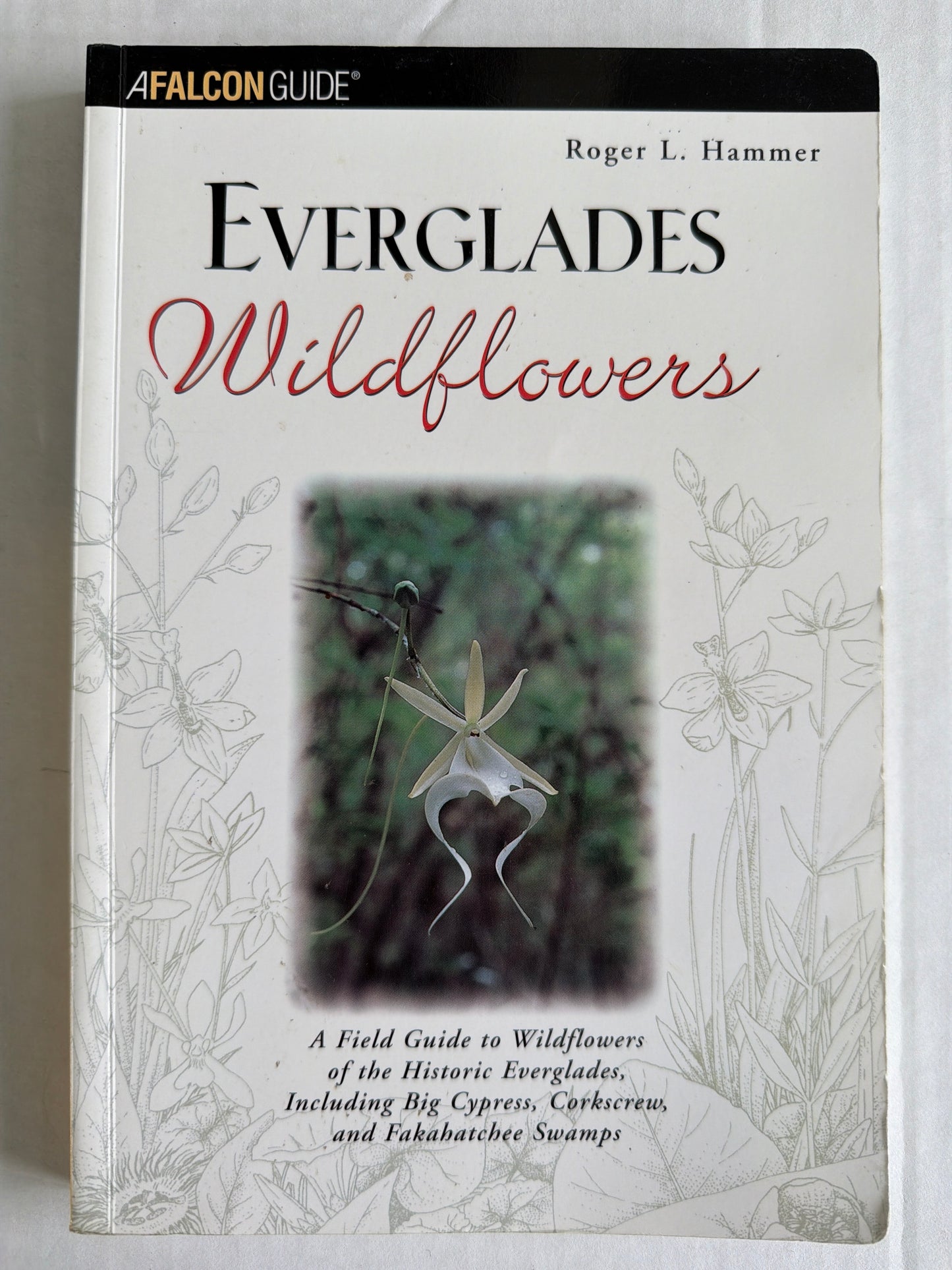 Everglades Wildflowers by Roger L. Hammer
