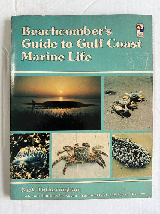 Beachcomber’s Guide to Gulf Coast Marine Life