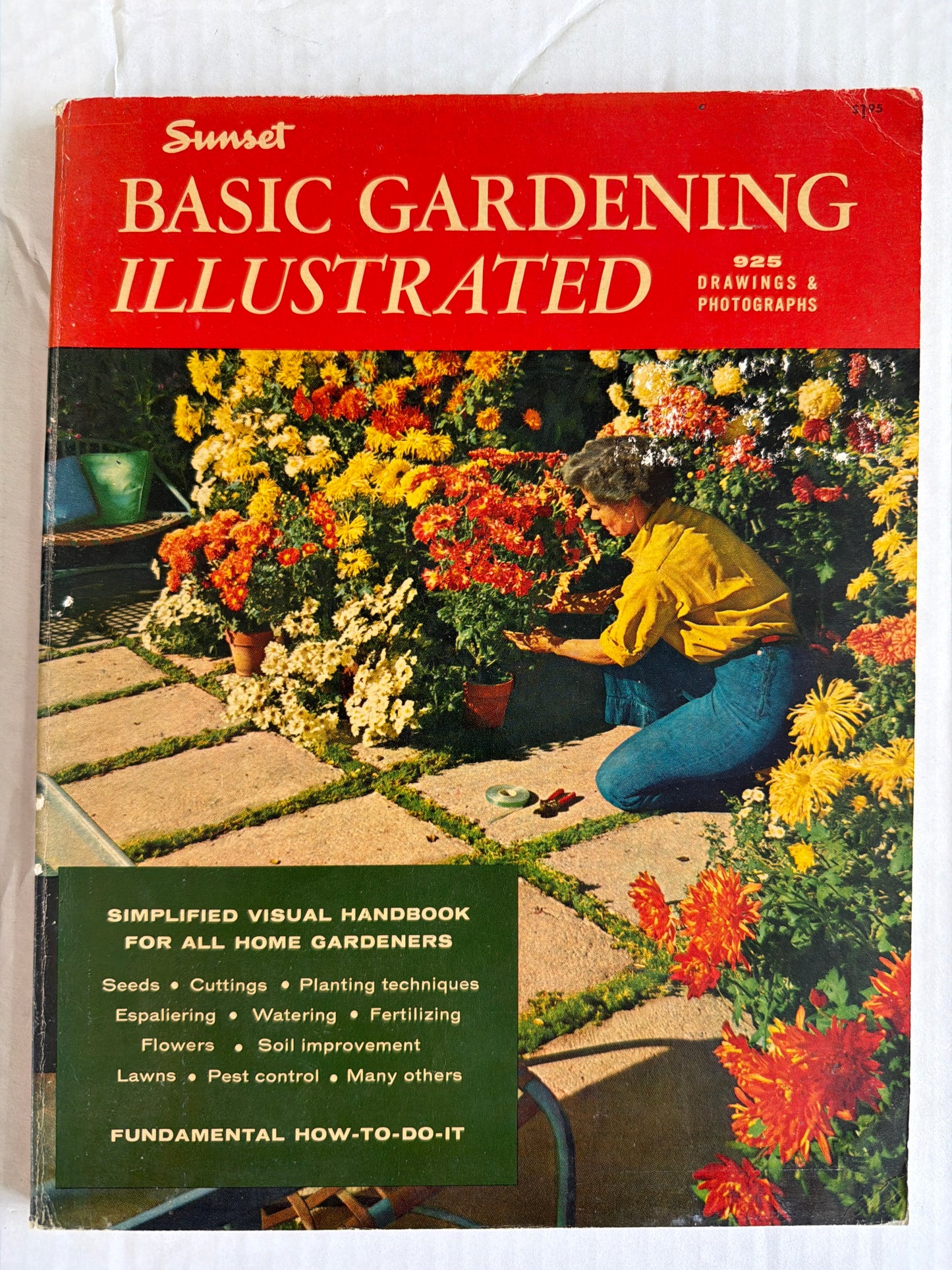 Basic Gardening Illustrated